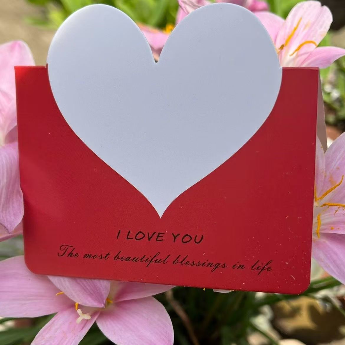 Birthday Card/Thank You Card/Romantic Postcard Set - Handwritten-Style Creative Design with Warm Messages, Holiday Greeting Cards